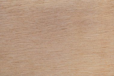 Afrika 'daki bir ağacın açık dokulu kesik yüzeyi. Ahşap zemin ya da tasarım için boş. Metin veya etiketler için bir grafik kaynağı ya da altında yatan.