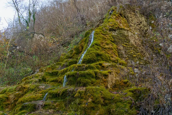 苔で覆われた石で野生のミネラル飲料水と天然温泉 テキストのコピースペースを持つ背景または背景 — ストック写真