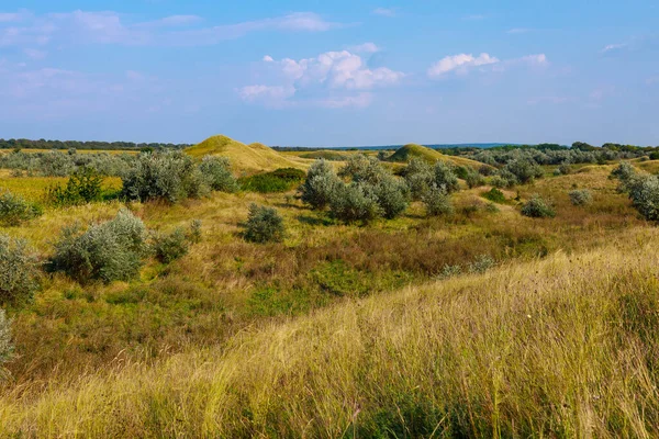 Kelet Európa Dombos Természete Háttér Szöveges Vagy Feliratos Másolási Hellyel — Stock Fotó