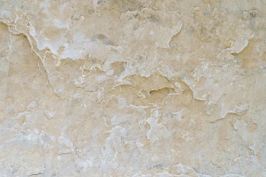 Doğada doğal kireç taşı. Sert desenli yüzey. Arkaplan veya arkaplan