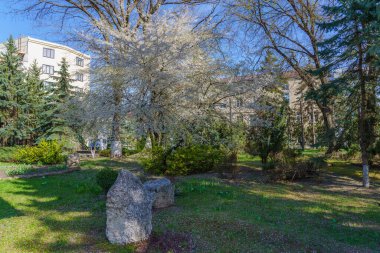 Çiçek açan ağaçlarla dolu bir bahar şehri. Metin veya yazı için kopyalama alanı olan arkaplan