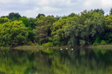 Geniş nehir. Metin veya harfler için kopya alanı olan Doğu Avrupa arka planı. Balık tutmak ve rafting yapmak için ideal. Bir turistin gözlerinden bak.