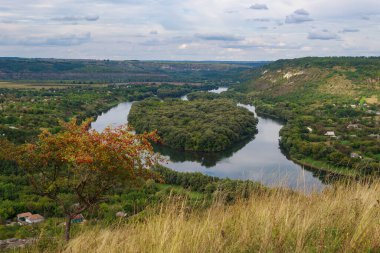 Doğada nehirde kalp şeklinde bir ada. Metin veya yazı için kopyalama alanı olan arkaplan