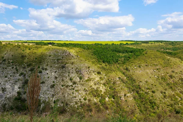 Doğu Avrupa 'nın vahşi kayalık ve dağlık doğası. Metin için kopya alanı olan peyzaj arkaplanı. Seçici odaklanma, uyumlu. Tipovo veya Tipova köyü, Moldova 'ya hoş geldiniz..