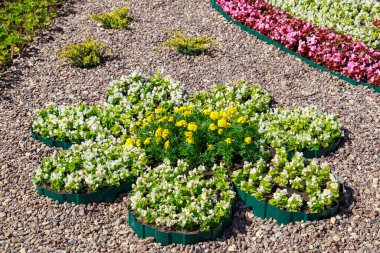 Şehir ortamında dekoratif çiçekçilik yatakları. Seçici odaklı arkaplan ve metin için alanı kopyala