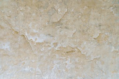 Doğada doğal kireç taşı. Sert desenli yüzey. Arkaplan veya arkaplan