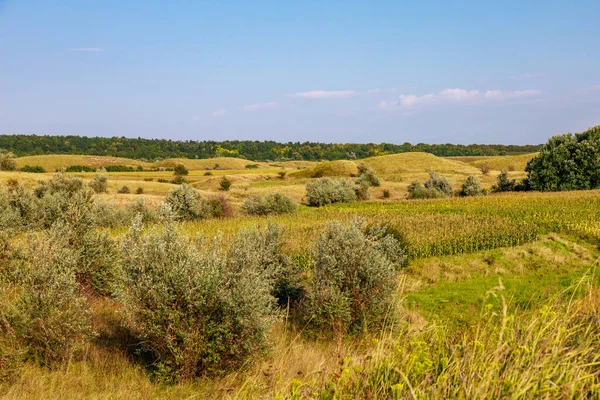 Kelet Európa Dombos Természete Háttér Szöveges Vagy Feliratos Másolási Hellyel — Stock Fotó