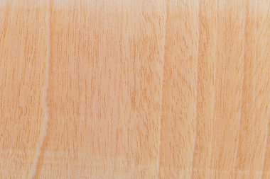 Afrika 'daki bir ağacın açık dokulu kesik yüzeyi. Ahşap zemin ya da tasarım için boş. Metin veya etiketler için bir grafik kaynağı ya da altında yatan.