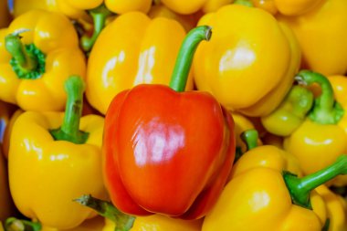 Tatlı dolmalık biber. Seçici odaklı arkaplan ve metin için alanı kopyala