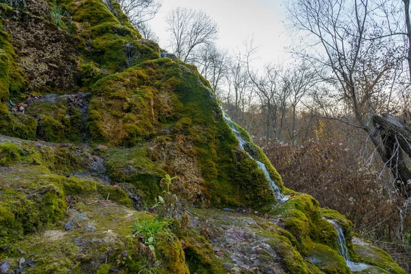 Natuurlijke Bron Met Mineraal Drinkwater Het Wild Met Stenen Begroeid — Stockfoto