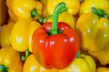 Tatlı dolmalık biber. Seçici odaklı arkaplan ve metin için alanı kopyala