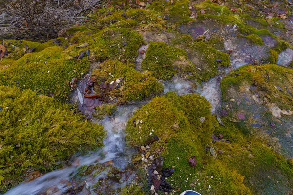 Primavera Natural Com Água Potável Mineral Natureza Com Pedras Cobertas — Fotografia de Stock