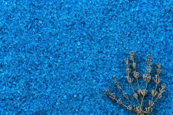 Гербарий Сушеные Лавандовые Цветы Фоне Морской Ароматической Соли Ванн Ароматерапия — стоковое фото