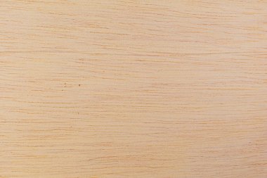 Afrika 'daki bir ağacın açık dokulu kesik yüzeyi. Ahşap zemin ya da tasarım için boş. Metin veya etiketler için bir grafik kaynağı ya da altında yatan.