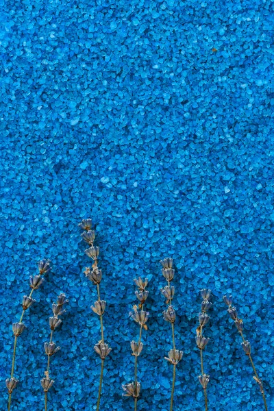 海の芳香浴塩を背景にハーバリウムやドライラベンダーの花 アロマセラピーとリラクゼーションのコンセプト 概要テキストのコピースペース — ストック写真