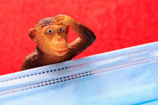 Figurine of a monkey behind a medical surgical mask. The concept of smallpox or monkeypox. Background with copy space for text