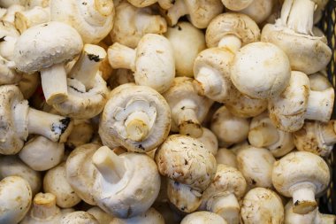 Bakkal çekmecesindeki mantarlar ağırlıkla satılır. Arkaplan veya arkaplan.