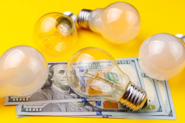 Bulanık arka planda diğer ampullerle birlikte ampul ve dolar seçici bir odak noktası. Enerji krizi ve elektrik enflasyonu kavramı. Artan elektrik fiyatları. Boşluğu kopyala