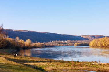 Geniş nehir. Metin veya harfler için kopya alanı olan Doğu Avrupa arka planı. Balık tutmak ve rafting yapmak için ideal. Bir turistin gözlerinden bak.