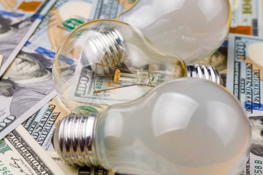 Bulanık arka planda diğer ampullerle birlikte ampul ve dolar seçici bir odak noktası. Enerji krizi ve elektrik enflasyonu kavramı. Artan elektrik fiyatları. Boşluğu kopyala