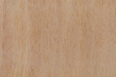 Afrika 'daki bir ağacın açık dokulu kesik yüzeyi. Ahşap zemin ya da tasarım için boş. Metin veya etiketler için bir grafik kaynağı ya da altında yatan.