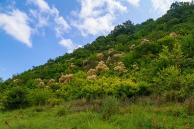 Doğu Avrupa 'nın dağlık doğası. Metin veya yazıtlar için kopyalama alanı olan arkaplan