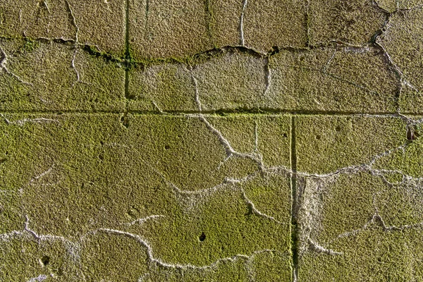Wall Limestone Blocks Cracked Dampness Texture Background Backdrop Design — Foto de Stock