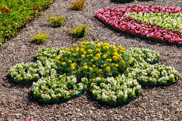 Aiuole Floricoltura Decorativa Ambiente Urbano Sfondo Con Messa Fuoco Selettiva Foto Stock