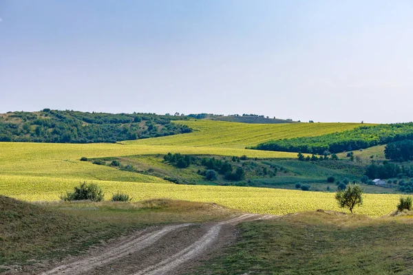 Het Heuvelachtige Karakter Van Oost Europa Achtergrond Met Kopieerruimte Voor — Stockfoto