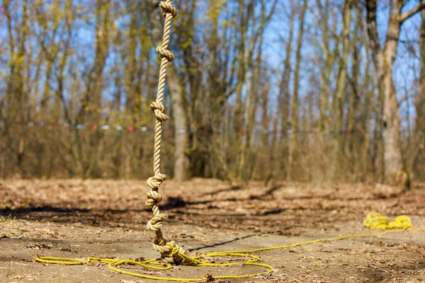 Rope Knots Training Amateur Tourists Blurred Background Nature Background Copy — Foto de Stock