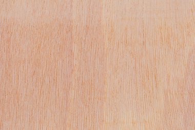 Afrika 'daki bir ağacın açık dokulu kesik yüzeyi. Ahşap zemin ya da tasarım için boş. Metin veya etiketler için bir grafik kaynağı ya da altında yatan.