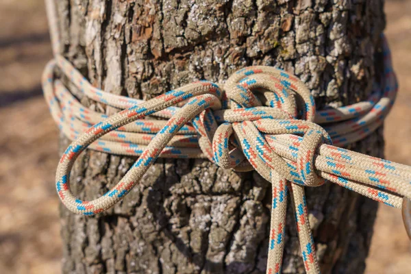 Tourist Knot Rope Background Copy Space Text — Stockfoto