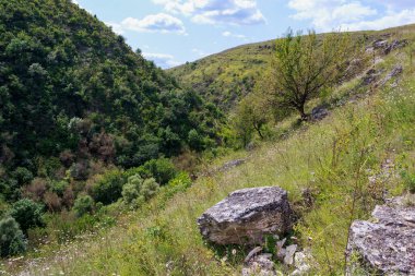 Doğu Avrupa 'nın vahşi kayalık ve dağlık doğası. Metin için kopya alanı olan peyzaj arkaplanı. Seçici odaklanma, uyumlu. Tipovo veya Tipova köyü, Moldova 'ya hoş geldiniz..