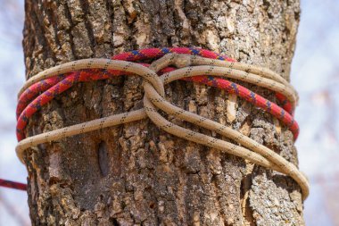 İpte turist düğümü. Metin için kopyalama alanı olan arkaplan