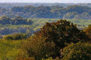 Doğu Avrupa 'nın dağlık doğası. Metin veya yazıtlar için kopyalama alanı olan arkaplan