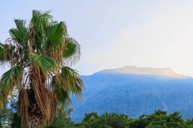 Beautiful view at the foot of the mountains at sunrise or sunset. Background with copy space