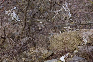 Bones and skulls of animals that fell off a cliff onto rocks. Creepy hiking trails. Background with selective focus and copy space for text