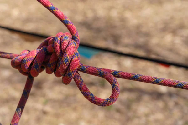 Tourist knot on a rope. Background with copy space for text