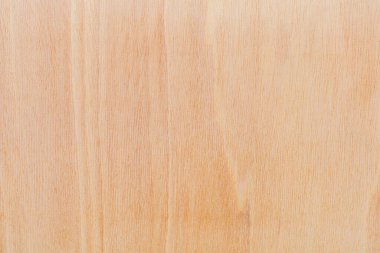 Afrika 'daki bir ağacın açık dokulu kesik yüzeyi. Ahşap zemin ya da tasarım için boş. Metin veya etiketler için bir grafik kaynağı ya da altında yatan.