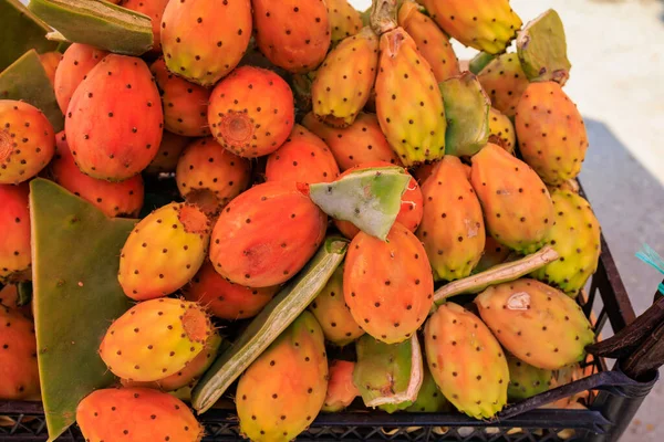 Edible fruits of cactus, prickly pear. Selective focus, background with copy space