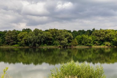 Geniş nehir. Metin veya harfler için kopya alanı olan Doğu Avrupa arka planı. Balık tutmak ve rafting yapmak için ideal. Bir turistin gözlerinden bak.