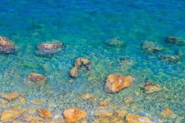 Çok güzel bir zemin ya da deniz suyunun kayalık bir kıyısı ve seçici bir odağı var..