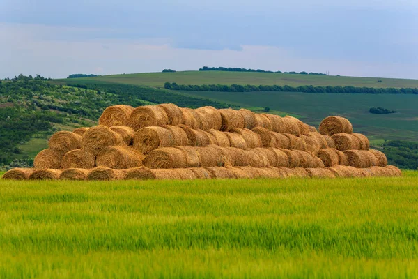 Sheaves Hay Rolls Background Copy Space Text — Stock Photo, Image