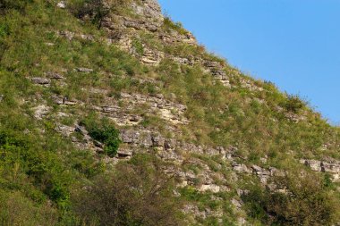 Doğu Avrupa 'nın dağlık doğası. Metin veya yazıtlar için kopyalama alanı olan arkaplan