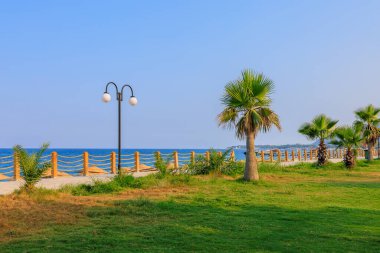 Palm trees on the promenade of the city beach in the resort town of Beldibi, a municipality in the Kemer region of Antalya province in Turkey on the Mediterranean coast