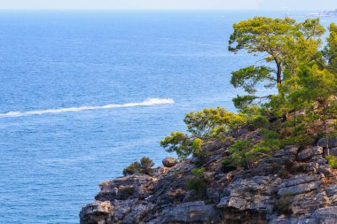 Deniz kıyısındaki kayalık uçurum. Seçici odaklı arkaplan ve metin için alanı kopyala