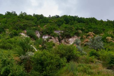 Doğu Avrupa 'nın dağlık doğası. Metin veya yazıtlar için kopyalama alanı olan arkaplan