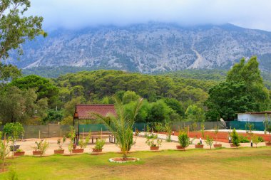 Şehir parkının çimenliği. Kopyalama alanı olan arkaplan