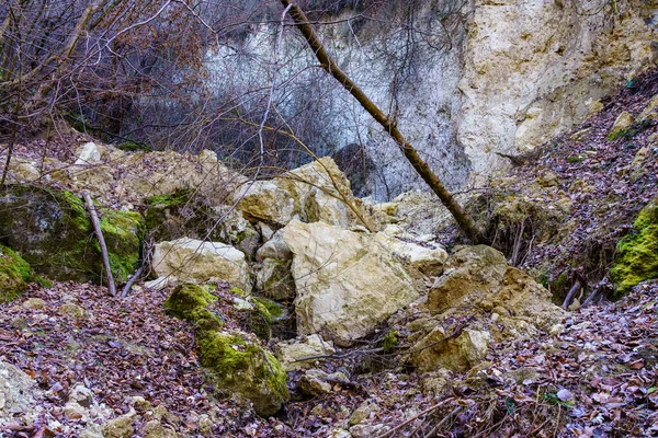 Rocky Wilderness Background Backdrop Selective Focus Copy Space Text — Stock Photo, Image