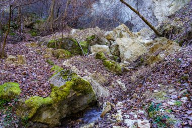 Rocky wilderness. Background or backdrop with selective focus and copy space for text